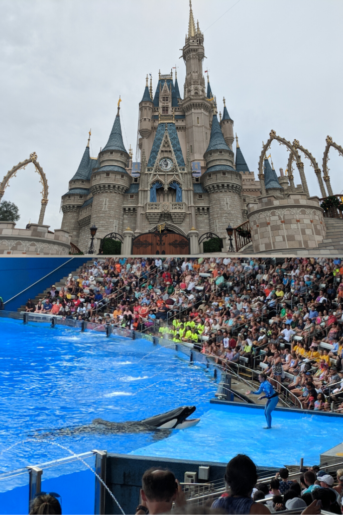 Win A Trip To Orlando 2020 Green Vacation Deals